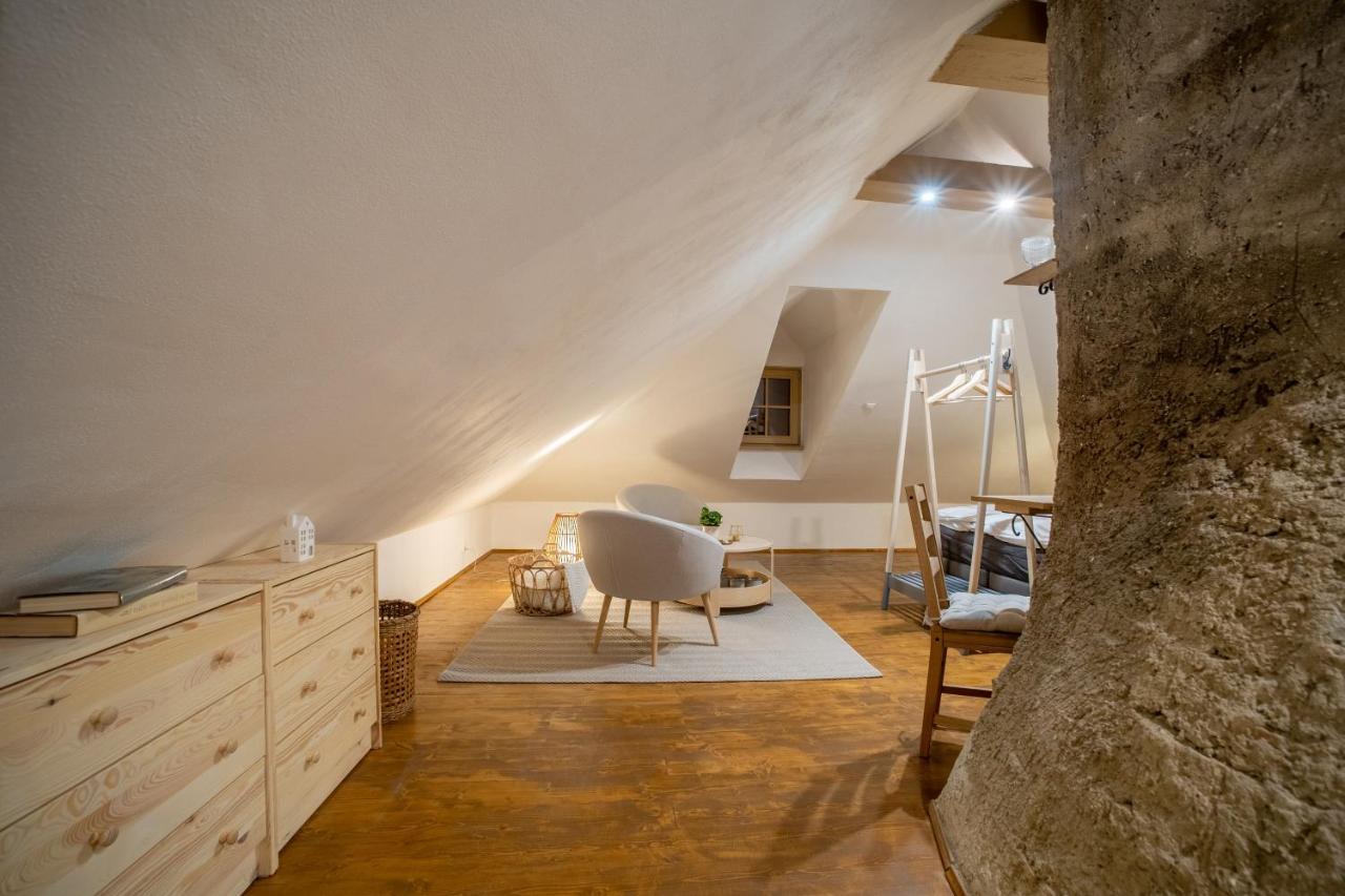 Apartmany Rodny Dom Deza Hoffmanna Banská Štiavnica 외부 사진